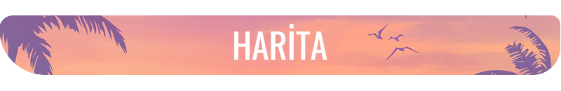 GTA VI: Hikaye, karakterler, çıkış tarihi ve ön sipariş GTA VI: Hikaye, karakterler, çıkış tarihi ve ön sipariş