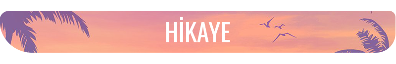 GTA VI: Hikaye, karakterler, çıkış tarihi ve ön sipariş GTA VI: Hikaye, karakterler, çıkış tarihi ve ön sipariş